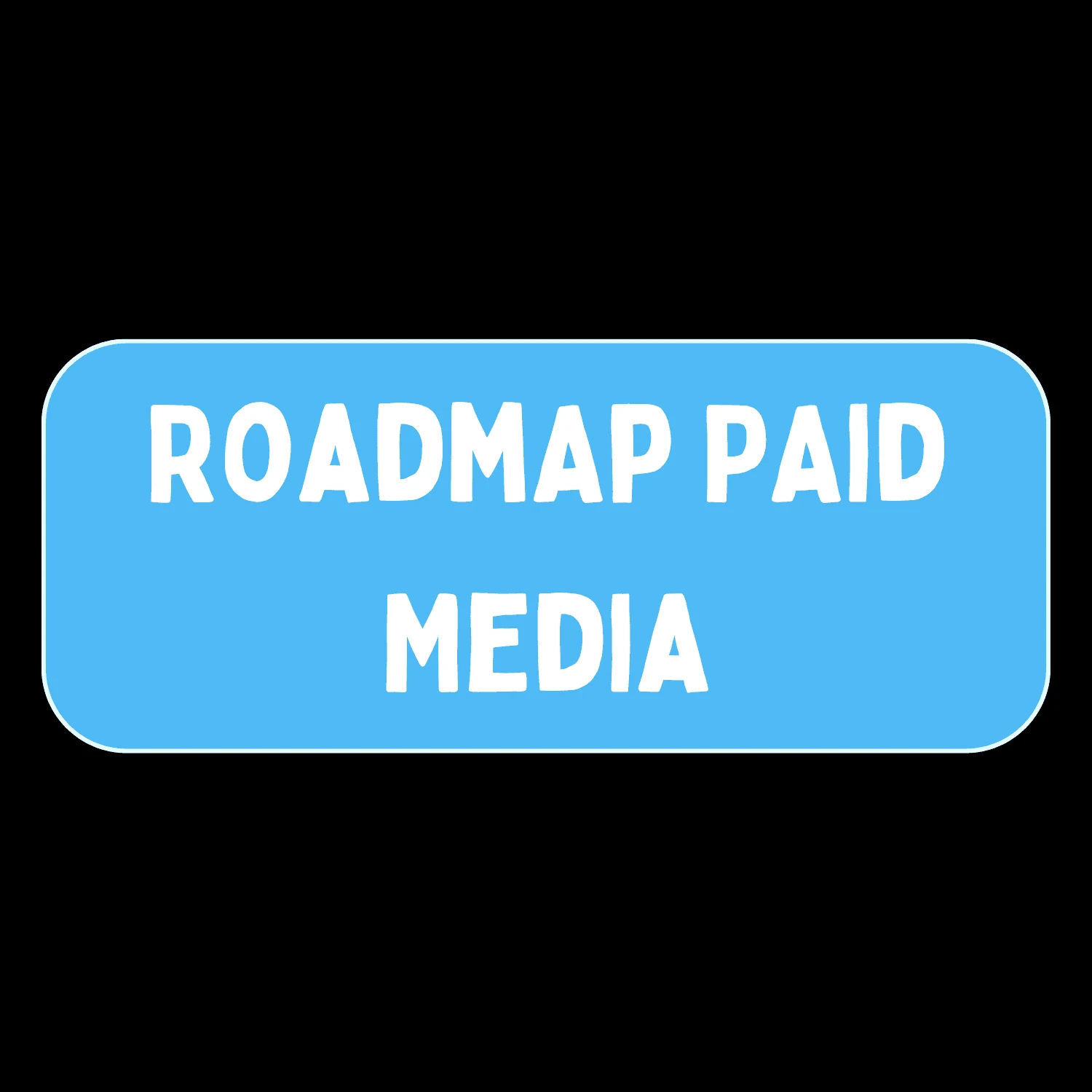 Roadmap Paid Media & Stratégie long terme
