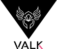 Valk Gaming